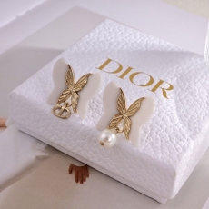 Christian Dior Earrings